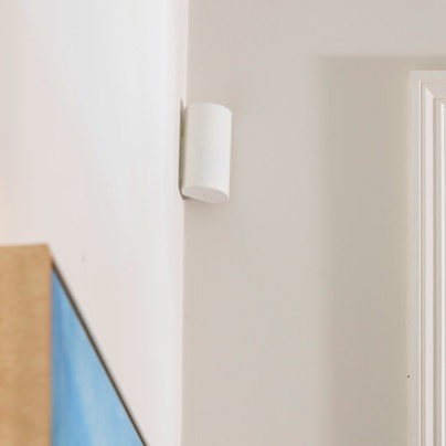 Florence security motion sensor